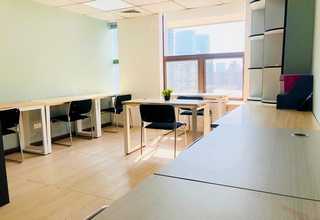 金山区富含蛋白质三文鱼价位